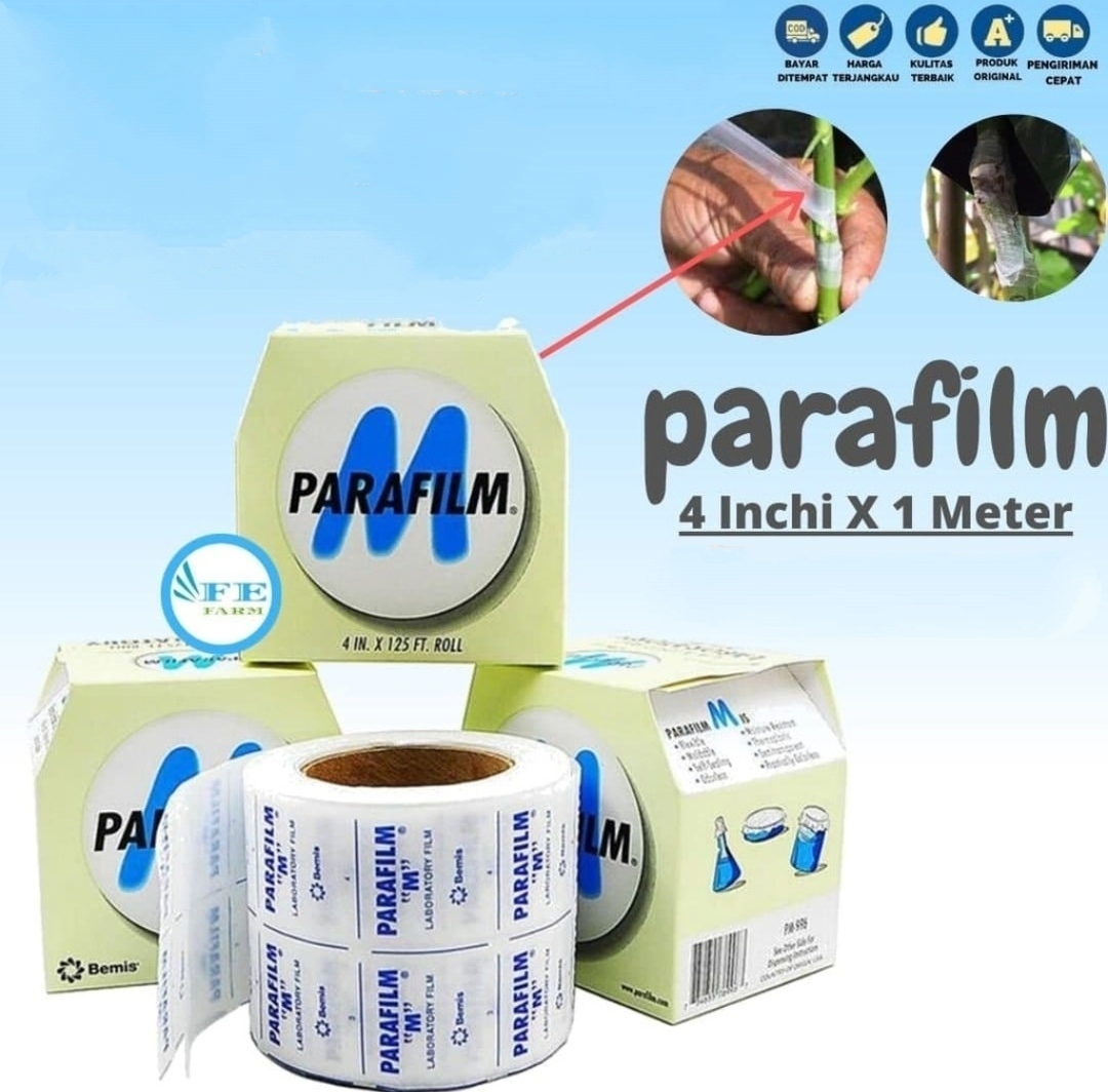 PARAFILM GRAFTING TAPE PLASTIK OKULASI SAMBUNG PUCUK Lazada Indonesia