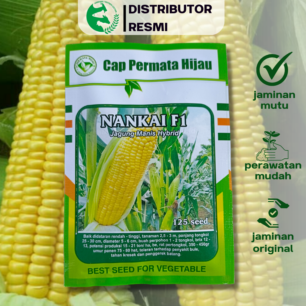 Benih Jagung Manis Hibrida Seed Nankai F Cap Permata Hijau Unggul