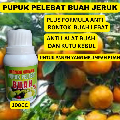 Pupuk Booster Pelebat Buah Jeruk Pupuk Buah Jeruk Pupuk Organik