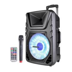 MAYAKA Speaker Meeting & Karaoke(USB dan Wireless Mic) SPKT-010AD