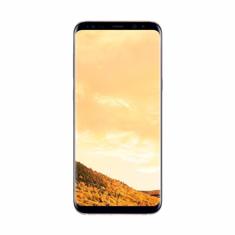 Samsung Galaxy S8 Plus Smartphone - Gold [64 GB]