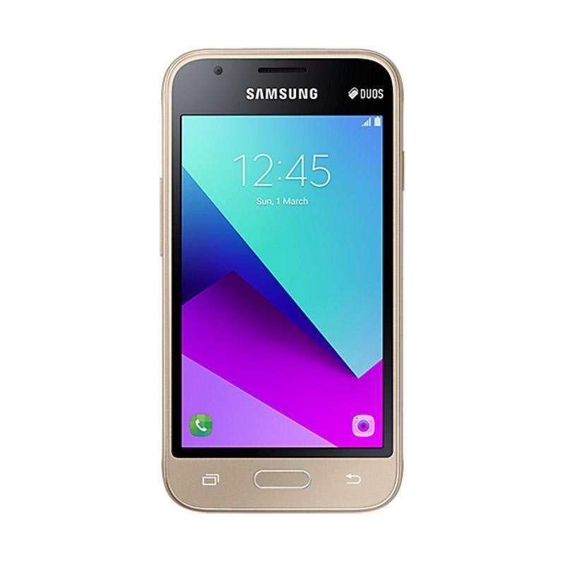Samsung Galaxy V2 J106B Smartphone - Gold