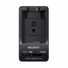 SONY BC TRW Battery Charger