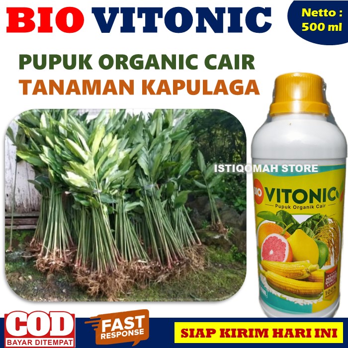 Pupuk Organik Cair Untuk Tanaman Kapulaga Bio VITONIC 500ML Pupuk Ajaib