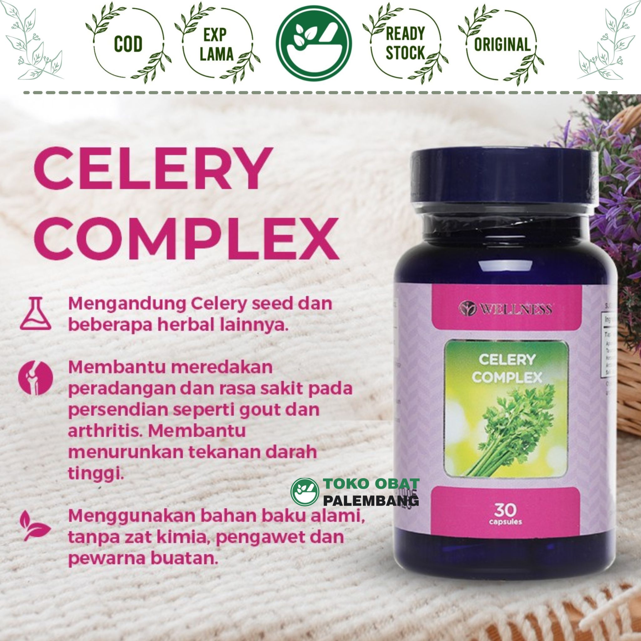 Wellness Celery Complex Kapsul Celery Seed Seledri Hipertensi Darah