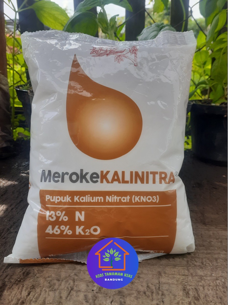 Cod Pupuk Meroke Kalinitra Kno Kg Kemasan Asli Pabrik Nutrisi