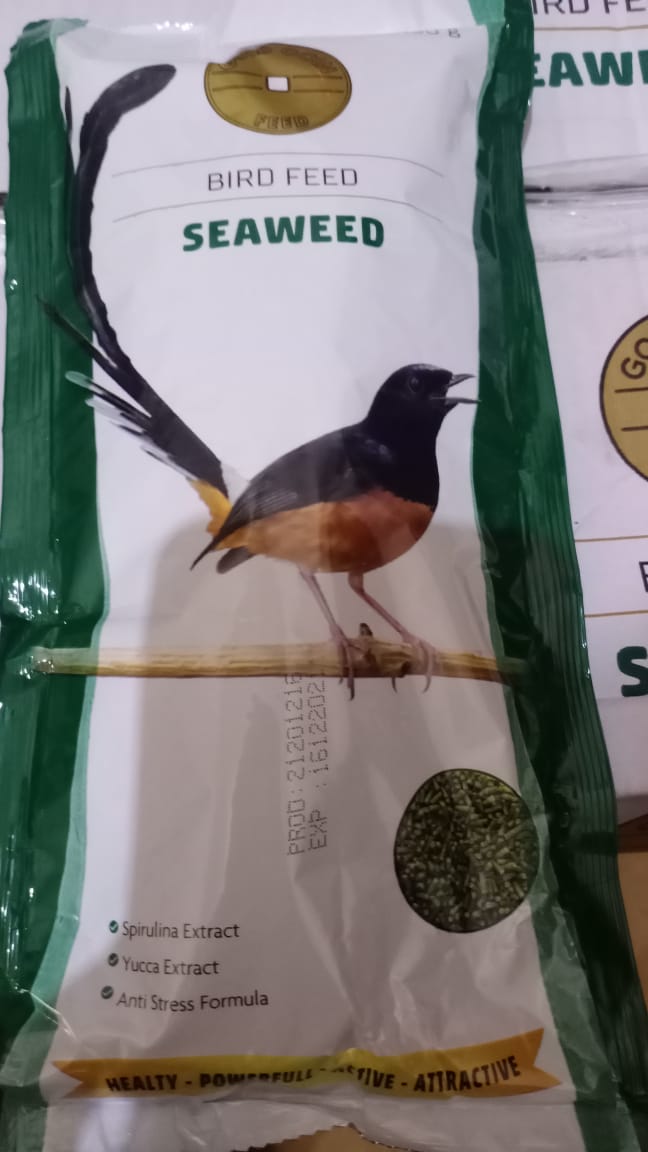 Pakan Burung Gold Coin Seaweed Hijau Rumput Laut G Cocok Untuk Murai