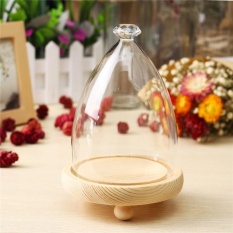 Glass Display Kayu Dasar Cloche Toples Kaca Berbentuk Bel Dome Bunga Immortal Pelestarian Vase-Intl