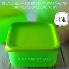Tupperware Small Summer Fresh Tempat Bekal Makan, Kue, Snack