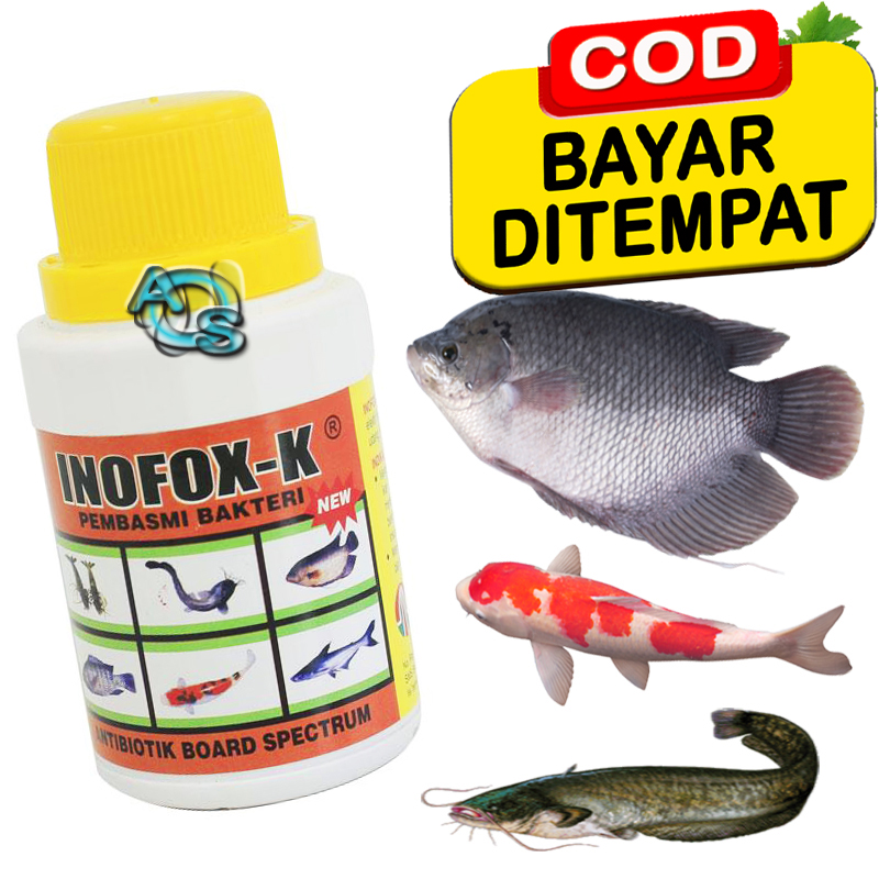 Obat Luka Anti Bakteri Ikan Sakit Inofox K Antibiotik Board Spectrum