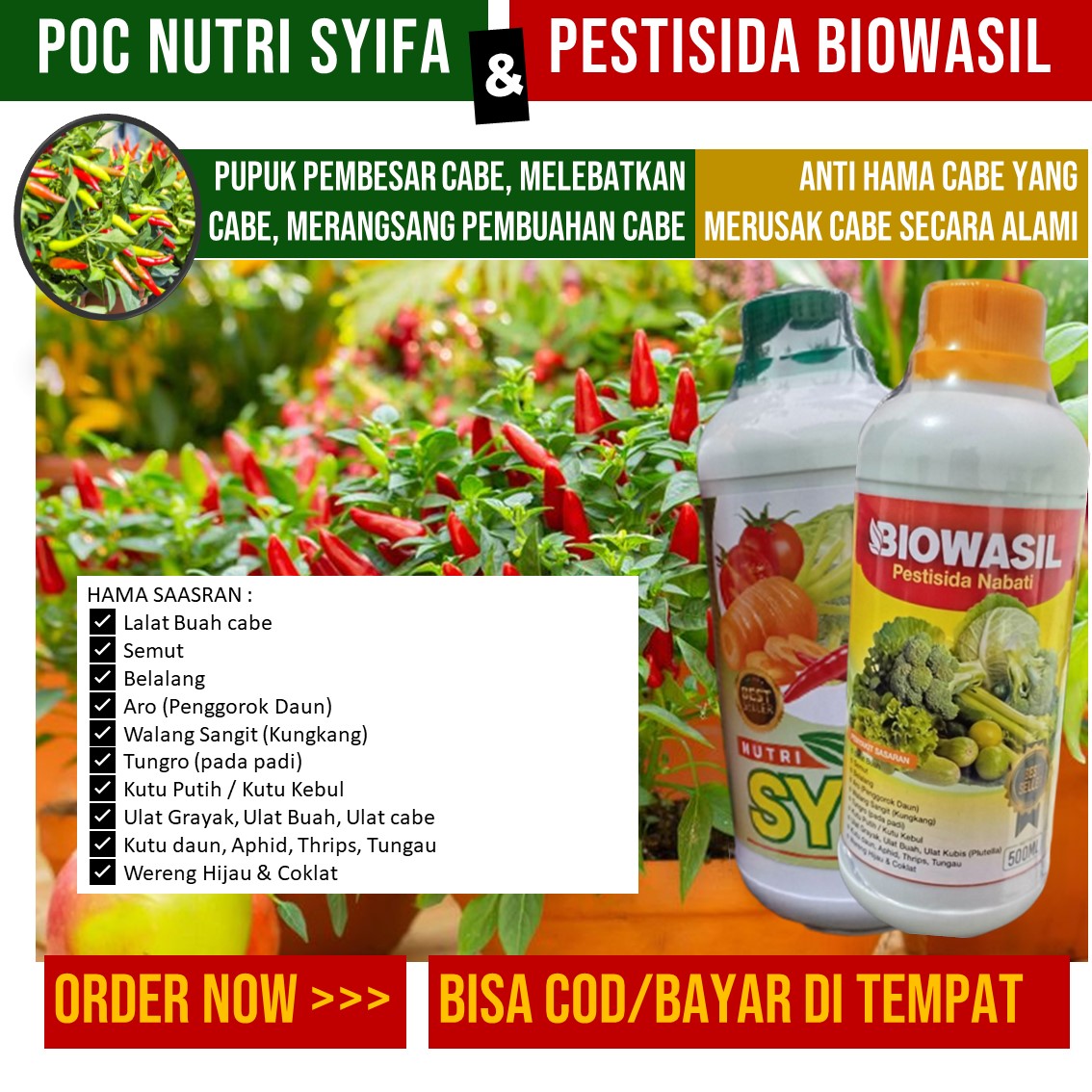 NUTRI SYIFA BIOWASIL Pupuk Pelebat Padi Obat Pembasmi Hama Wereng