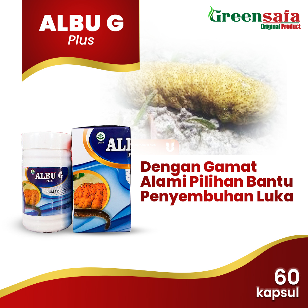 Albuplus G Kapsul Albu Plus Kapsul Minyak Ikan Gabus Gamat