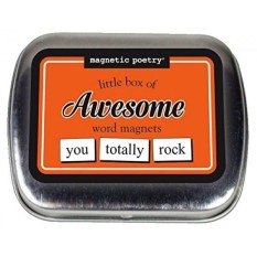 Puisi Magnetik-Kotak Kecil Yang Mengagumkan-Kata-kata untuk Lemari Es-Tulis Puisi dan Huruf Di Kulkas -Dibuat Di Amerika Serikat-Internasional