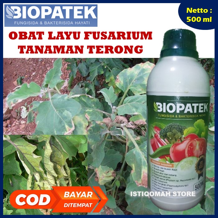 Biopatek Ml Fungisida Hayati Obat Hama Mengatasi Layu Fusarium Pada