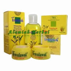 Cream Temulawak Siang Malam Hologram Emas Original Plus Sabun temulawak 701 dan Toner Temulawak