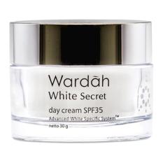 Wardah White Secret Day Cream 30gr