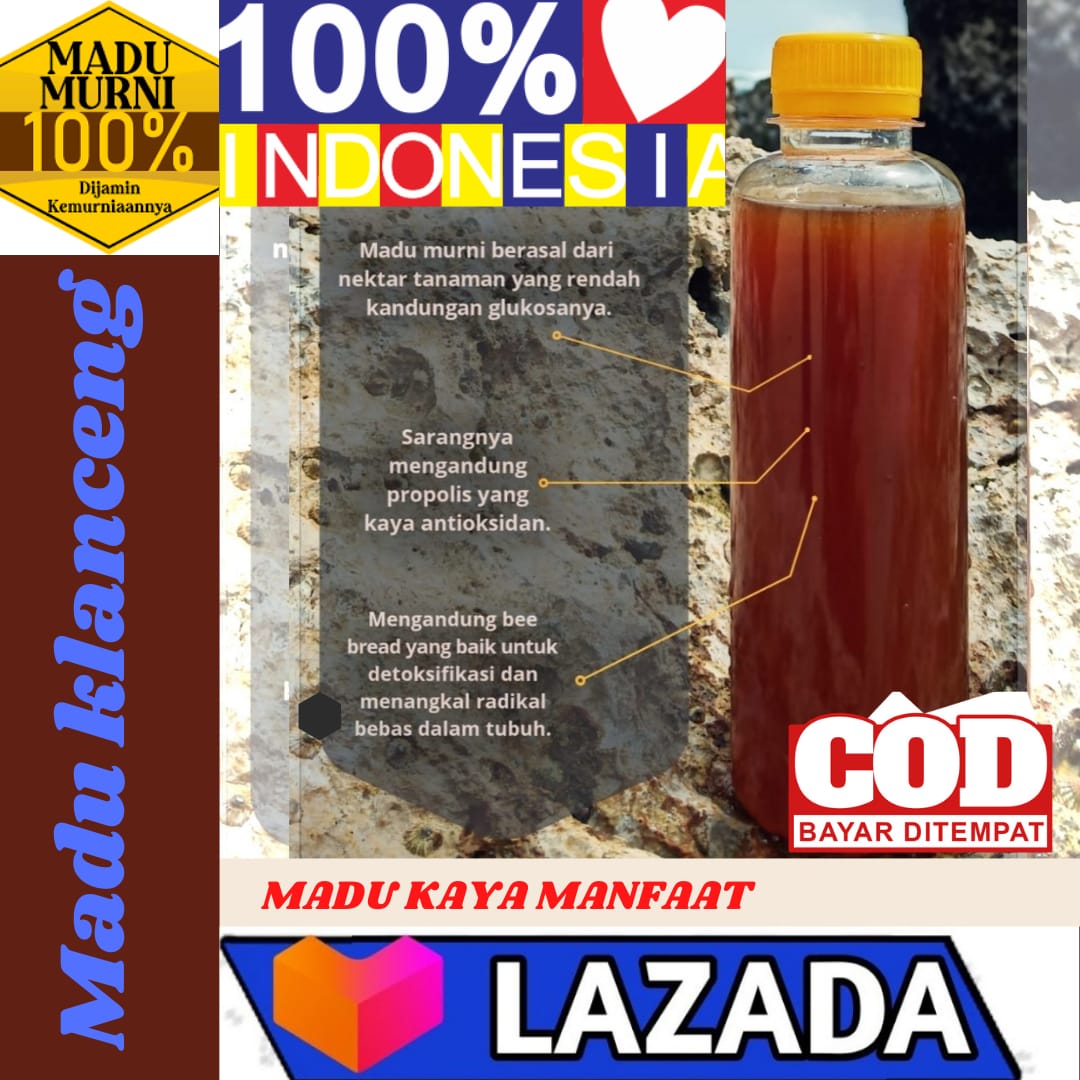 Madu Klanceng Asli Murni Liter Kelulut Madu Bambu Madu Asam Lambung