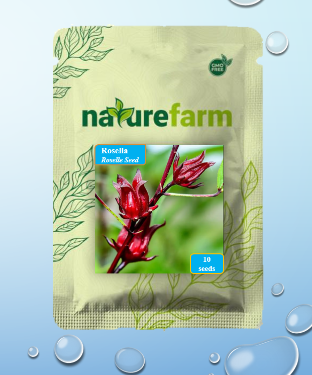 Naturefarm Benih Bibit Rosella Isi 10 Seeds Lazada Indonesia