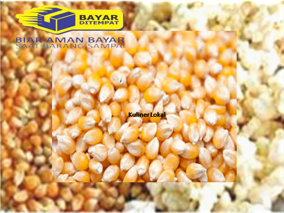 Biji Jagung Popcorn 1 Kg Premium Pilihan Mentah Repack Popcorn Lazada