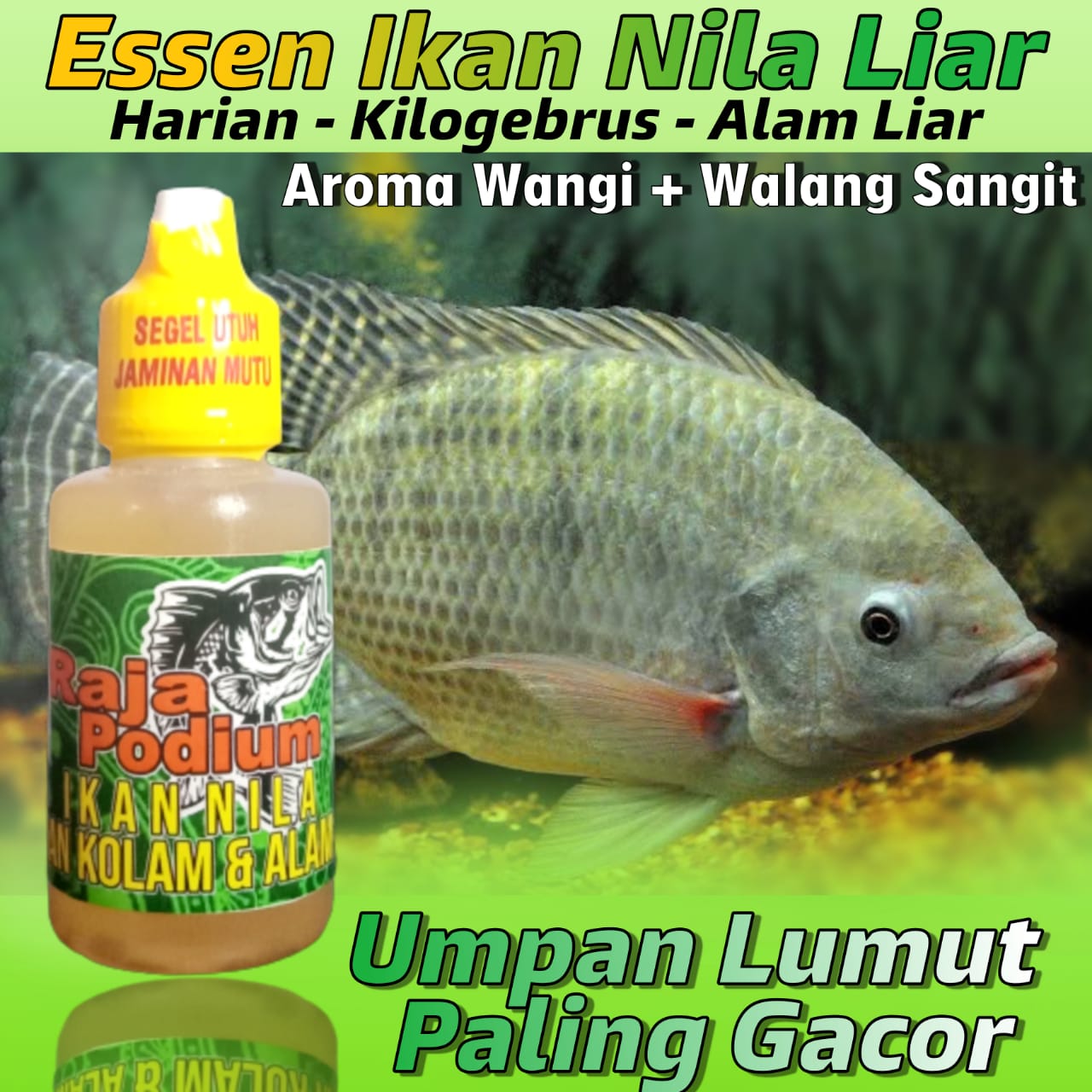 ESSEN IKAN NILA PALING GACOR MEDIA LUMUT 30ml ESSEN RAJA PODIUM