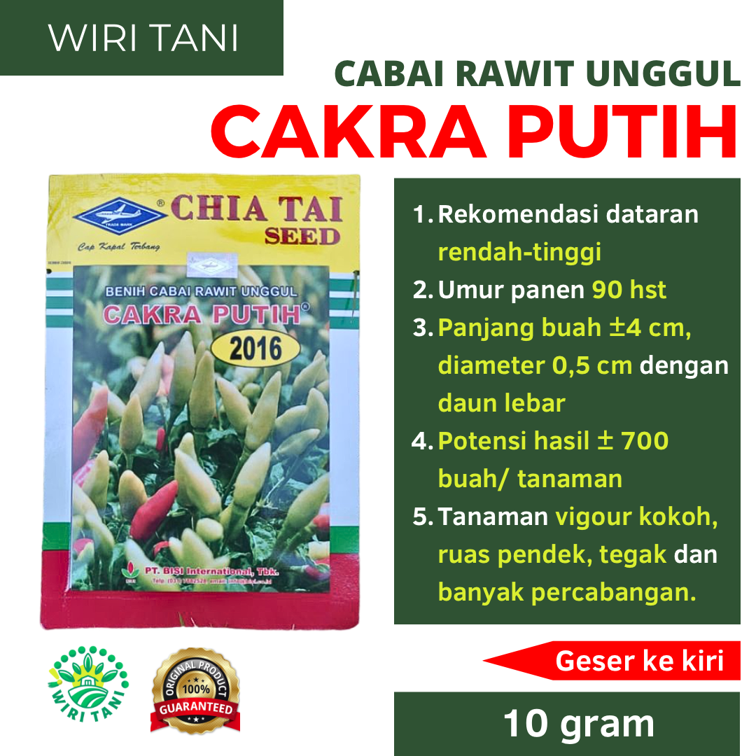 Benih Cabai Cakra Putih 10 Gram Cap Kapal Terbang Cabai Rawit Putih