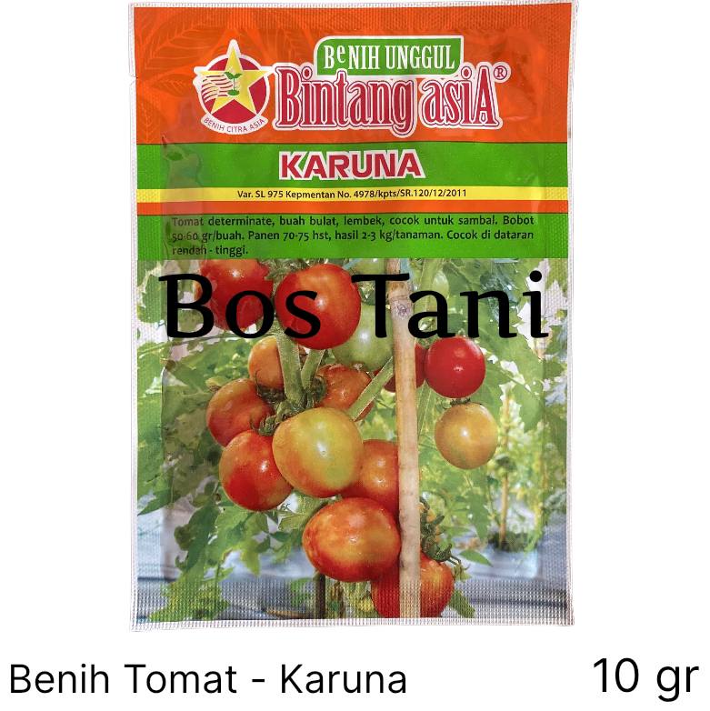 Benih Tomat Sayur Karuna Gram Bintang Asia Lazada Indonesia