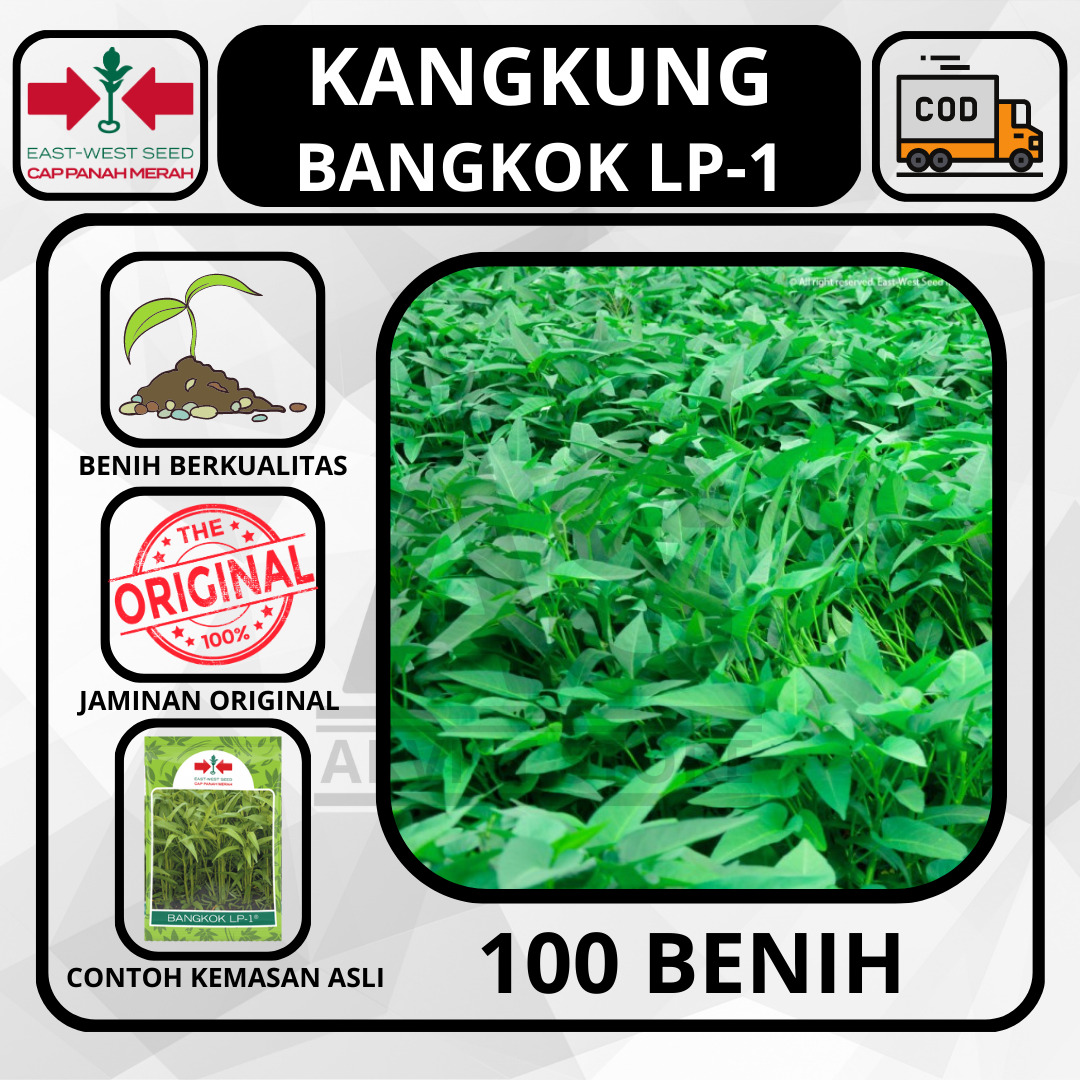 Butir Benih Kangkung Bangkok Lp Cap Panah Merah Bibit Sayuran