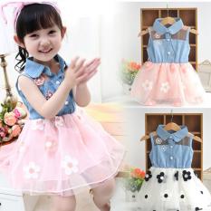 Sun Bunga Putri Denim Amart Lucu Yang Dapat Membuat Orang Yang Melihatnya Tertawa Terbahak-bahak atau Justru Kesal Karena Merasa For Atas Gaun Berbentuk Tutu Dalam Bayi For Pakaian Balita Wanita