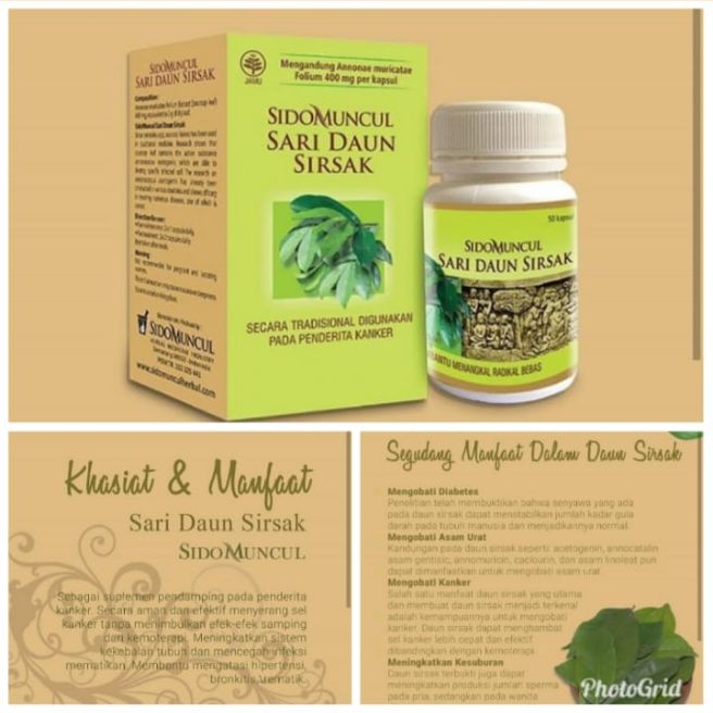 Sidomuncul Sari Daun Sirsak Lazada Indonesia