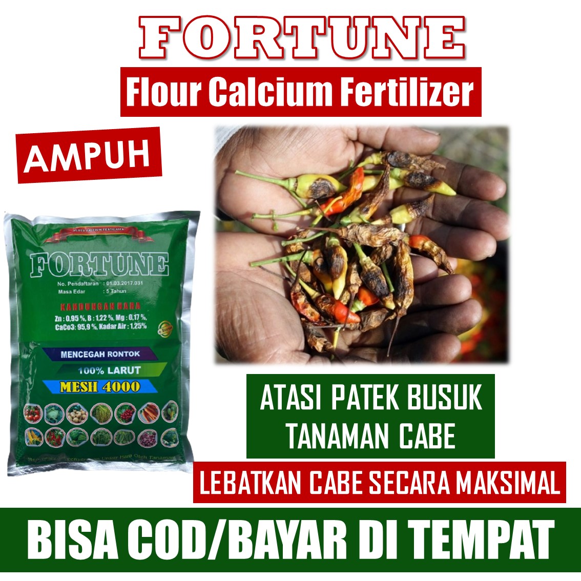 1 Kg FORTUNE Fungisida Bakterisida Hayati Obat Patek Tanaman Cabe