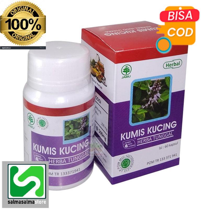 KUMIS KUCING HIU HERBAL INDO UTAMA 60 KAPSUL OBAT BATU GINJAL EMPEDU