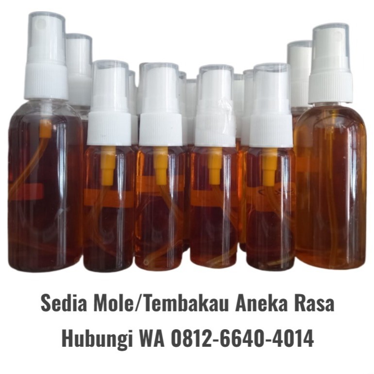 Rasa Lengkap Saos Spray Premium Penguat Rasa Ukuran Ml Dan Ml