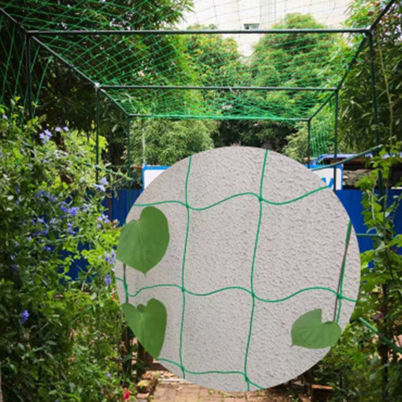 Gude Garden Plants Climbing Nylon Net Morning Glory Flower Vine