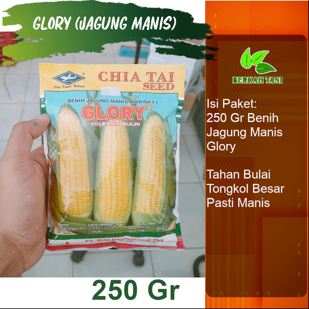 Benih Jagung Manis Hibrida Glory Gram Lazada Indonesia