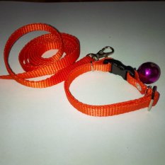 Collar/Kalung uk S + Leash Orange untuk Kucing, Kelinci, Musang, Puppy Small breed