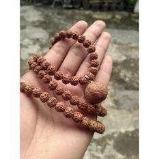 Kalung Genitri Jenitri Rudraksha Liontin Jumbo Sumatra
