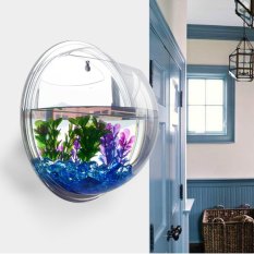 Plant Wall Hanging Bubble Aquarium Bowl (Mirror)-Intl