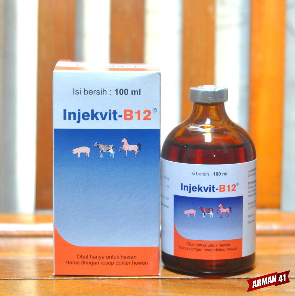 Vitamin B12 Injeksi Larutan 100 Ml MEDION Lazada Indonesia