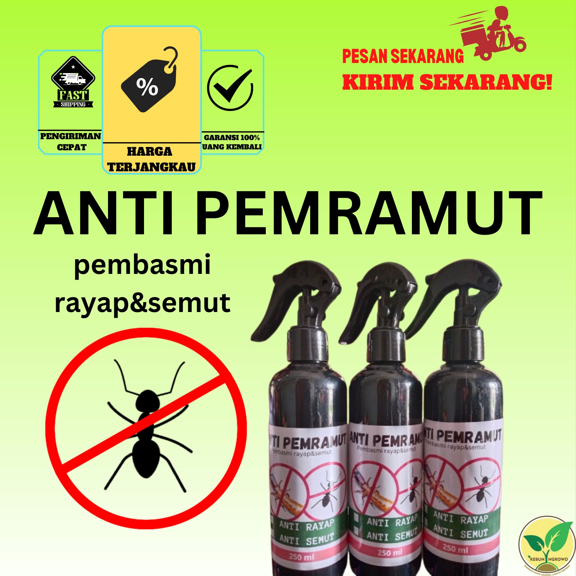 Anti Pemramut Pembasmi Semut Dan Rayap 250ml Semprotan Anti Rayap Dan