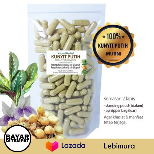 Kapsul Kunyit Putih Asli Herbal Kapsul Kunyit Putih 100 Kapsul Kapsul