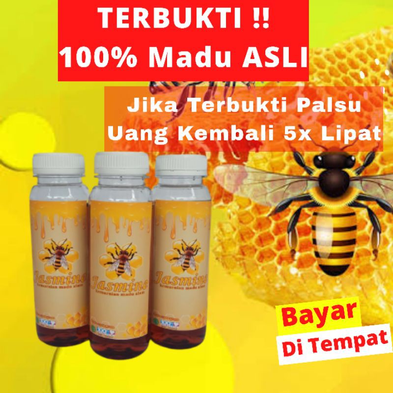 MADU ASLI MURNI MADU HUTAN KALIMANTAN JASMINE NUSANTARA 300 Gr MADU