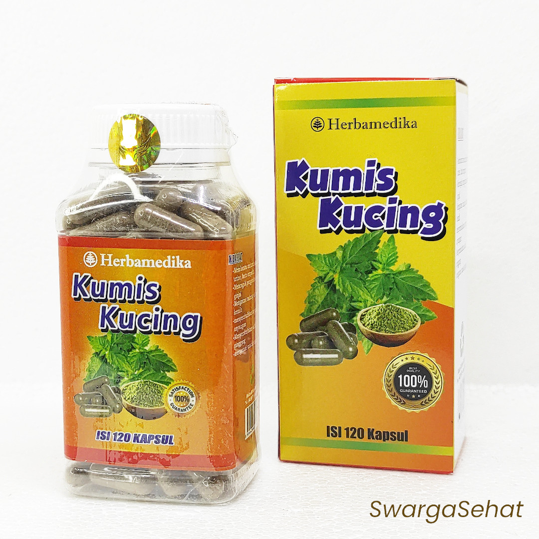 Daun Kumis Kucing Kapsul Isi Herbamedika Daun Remujung Lazada