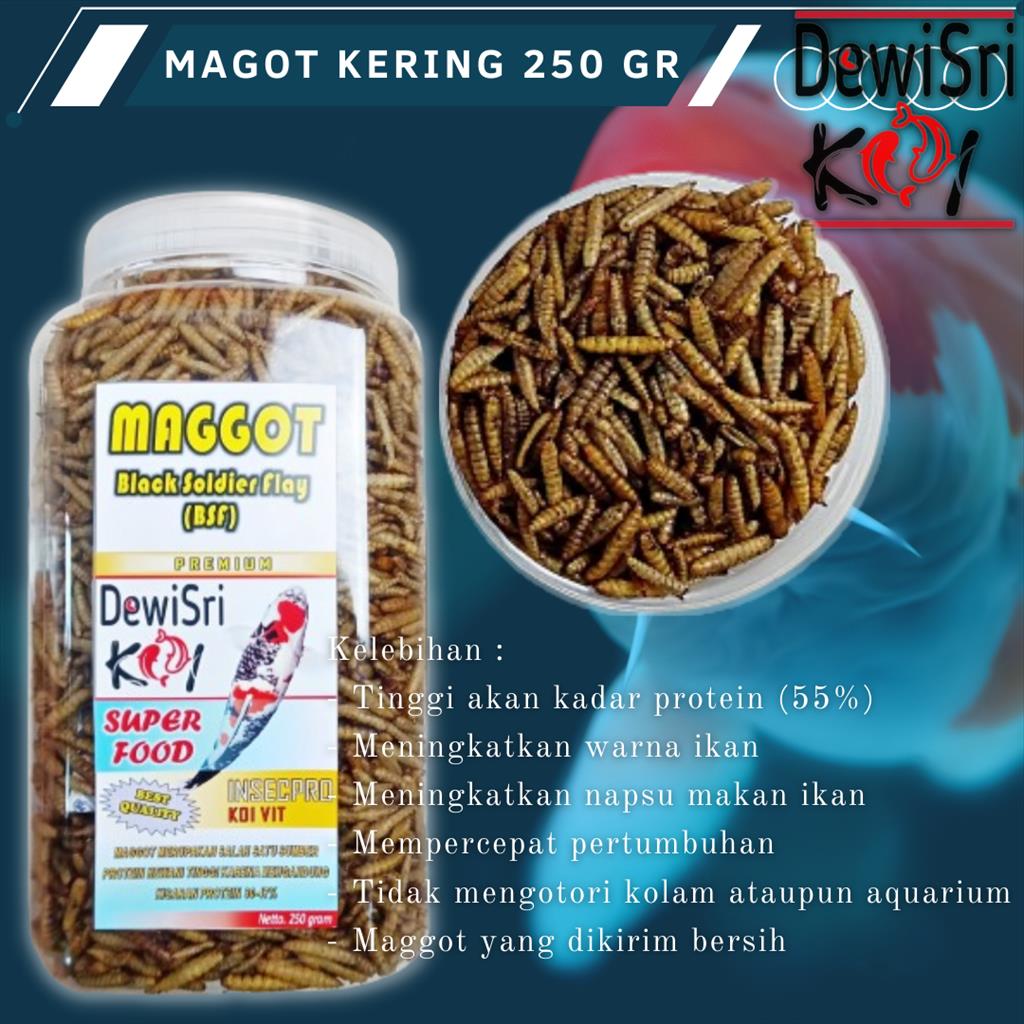 Magot Kering 250 Gram Maggot Premium Protein Tingkat Tinggi Pakan Ikan