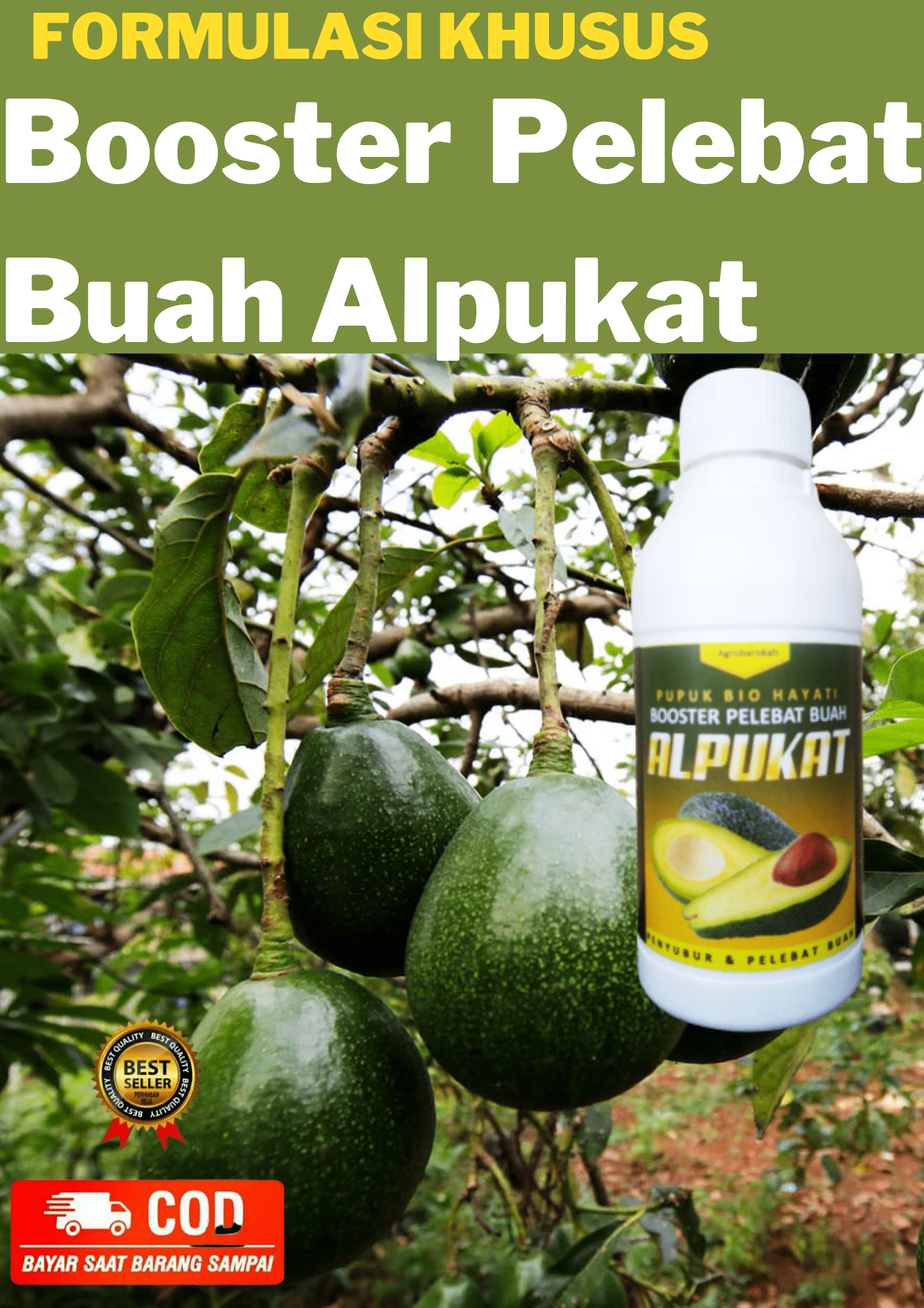 Booster Alpukat Pupuk Alpukat Cair Pupuk Penyubur Daun Dan Buah Pupuk