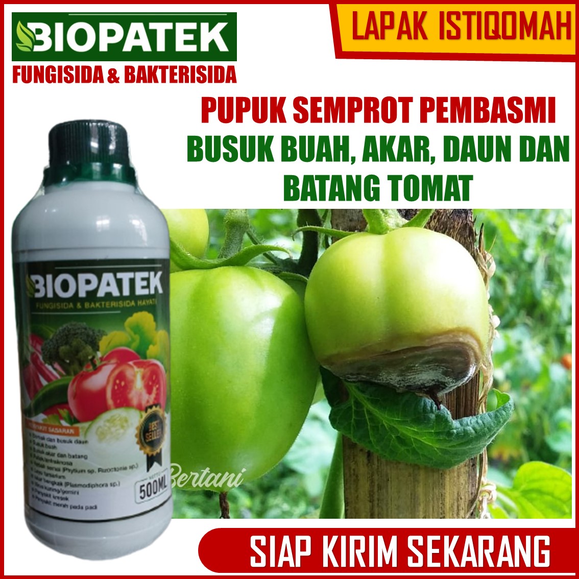 BIOPATEK 500 ML Obat Hama Penyakit Layu Kering Daun Tomat Biopatek