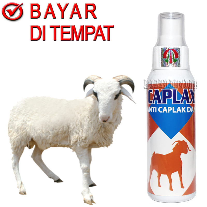 Caplax Spray Obat Anti Kutu Semprot Kambing Domba Pembasmi Parasit