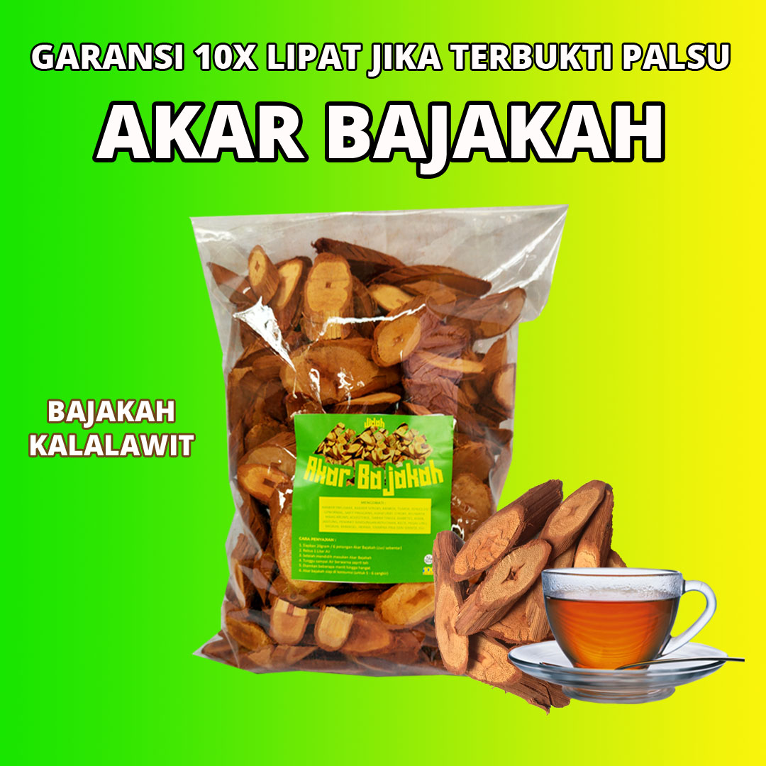 Akar Bajaka Gr Kayu Bajakah Tunggal Kalalawit Obat Kanker Akar