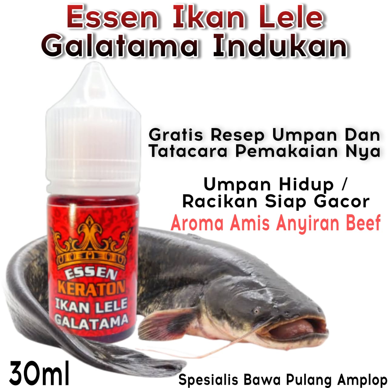 Essen Khusus Ikan Lele Khusus Galatama Indukan Paling Gacor Siang Malam