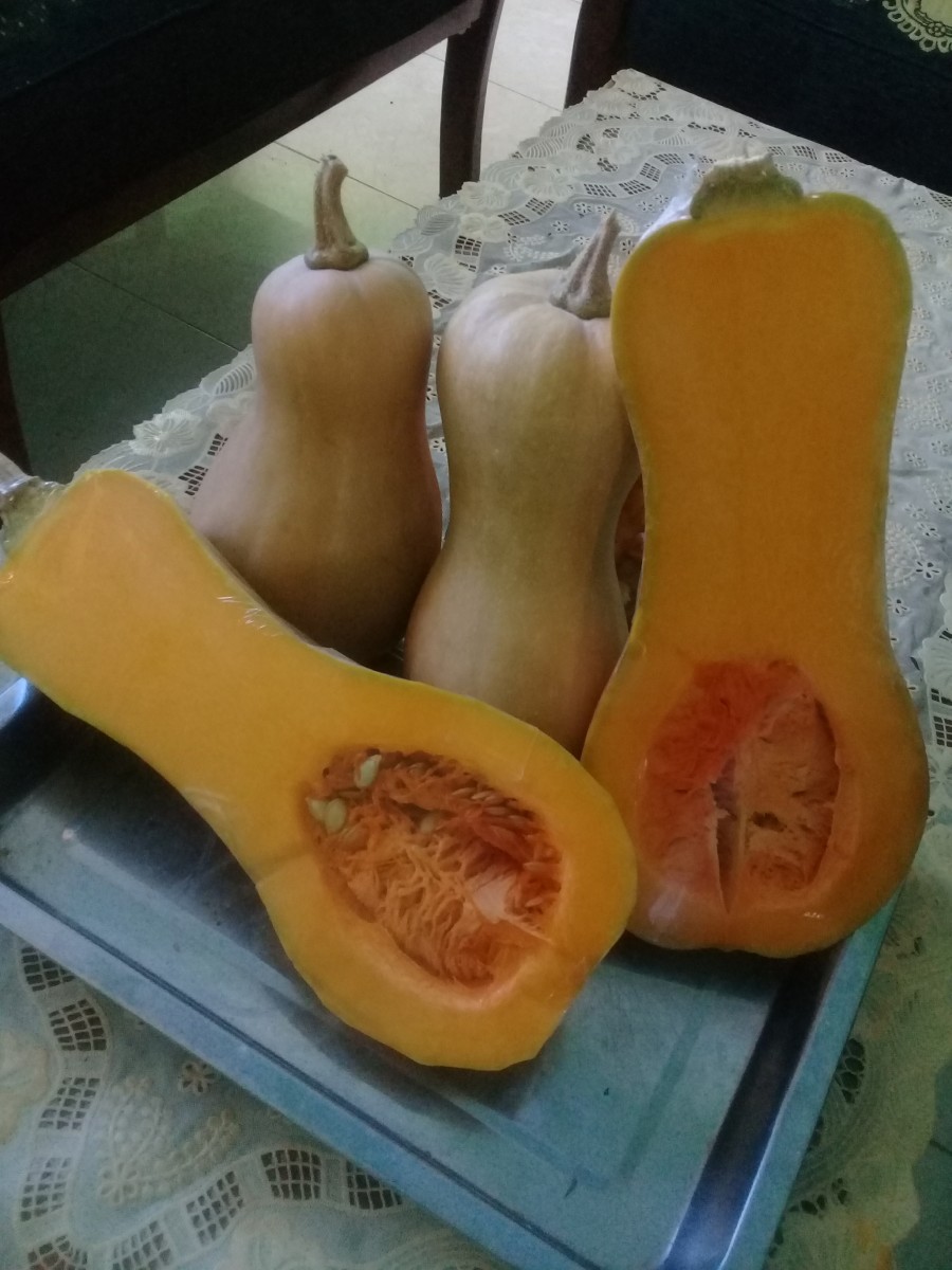 Buah Labu Madu Butternut Pumpkin Fresh Segar Per Gr Lazada