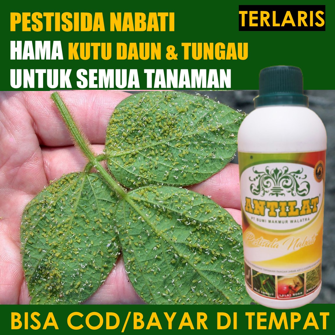 500 ML Pestisida Organik ANTILAT Obat Hama Semua Tanaman Pembasmi Hama